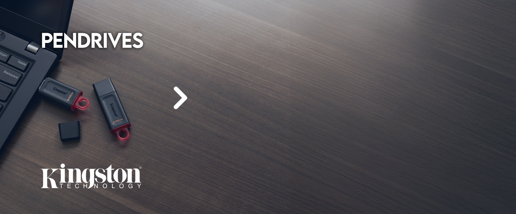 Elegí tu pendrive KINGSTON